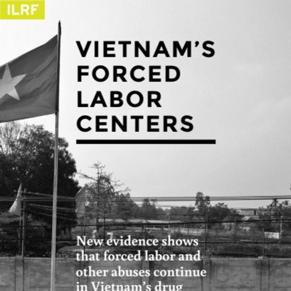 Vietnam's forded labour centres 