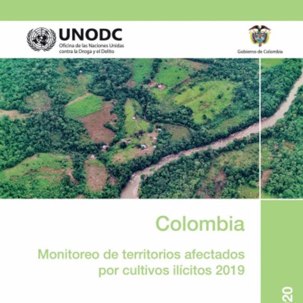 Colombia - Monitoreo de territorios afectados por cultivos ilícitos 2019