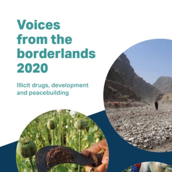 Voces desde las fronteras 2020: Drogas ilícitas, desarrollo y consolidación de la paz