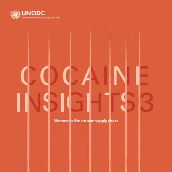 Cocaine Insights 3 - Women in the cocaine supply chain