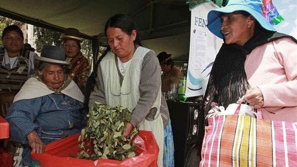 Declaración de Quito: V foro Internacional de la hoja de coca