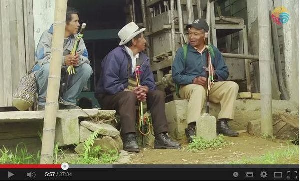 Documental sobre la coca en Colombia: La mata que no mata