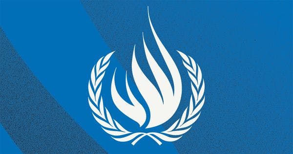Expertos de la ONU piden el fin de la "guerra contra las drogas” 