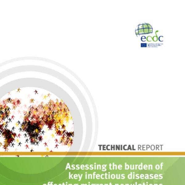 Assessing the burden of infectious diseases among migrant populations in the EU/EEA