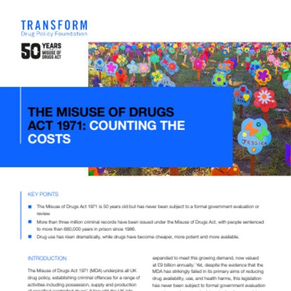 Britain's Misuse Of Drugs Act 1971: Counting the costs