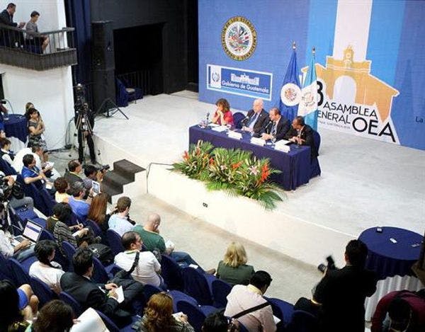 OEA urge proteger los derechos humanos frente a políticas antidrogas