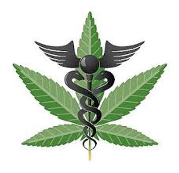 La marihuana medicinal en sus justas proporciones