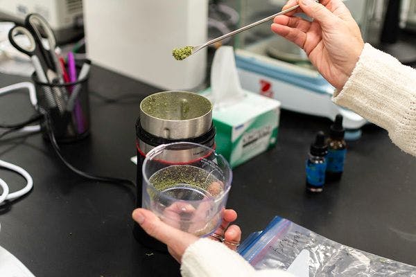 How to regulate cannabis potency?