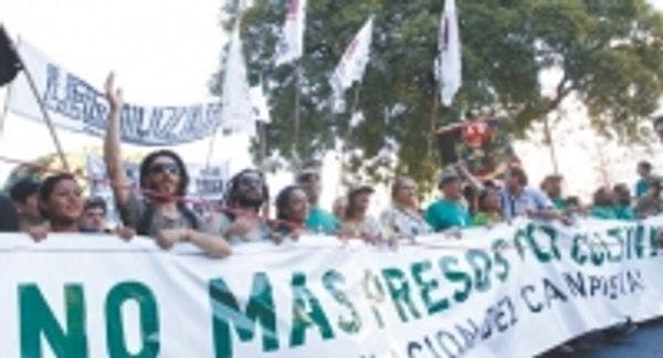 Marcha para pedir la despenalización del cultivo de marihuana en Argentina