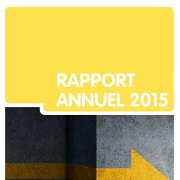 Rapport annuel du GREA 2015