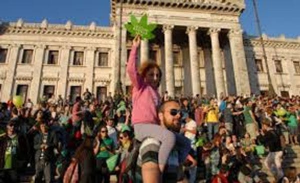 «Alguien tiene que ser el primero» La iniciativa uruguaya sobre el cannabis: ¿un modelo regional?